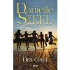 Kniha Hra čísel - Danielle Steel