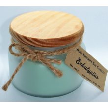 Pure Integrity Soy Candles EUKALYPTUS 284 g