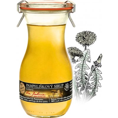 Via Delicia Pampeliškový sirup 265 ml – Zboží Dáma