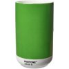 Dárkový poukaz Pantone Keramická váza 0,5 l - Green 3539c