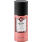 Maria Nila Finishing Spray 100 ml – Zbozi.Blesk.cz