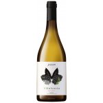 Javier Sanz Viticultor Singular V Malcorta Verdejo suché bílé 2021 13% 0,75 l (holá láhev) – Hledejceny.cz