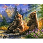 Figuered ART malování podle čísel SEDÍCÍ MEDVĚDI – Zboží Dáma