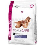 Eukanuba Daily Care Sensitive Skin 2,3 kg – Hledejceny.cz