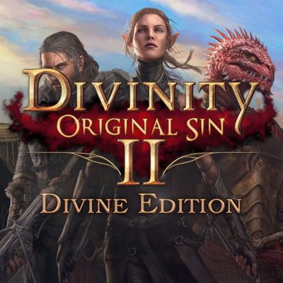 Divinity: Original Sins 2 (Divine Edition)