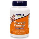 Now Foods Foods Thyroid Energy Štítná žláza 90 kapslí – Hledejceny.cz