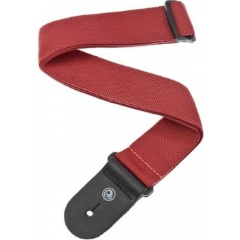 Planet Waves PWS101