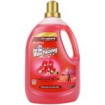 WaschKönig prací gel Color Spring Holland s konopným olejem 110 PD 3,3 l – Zboží Mobilmania