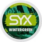 SYX WINTERGREEN 16,4 mg 20 sáčků – Zboží Mobilmania
