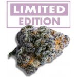 Growers Choice Platinum Mimosa Cookies Double XL Auto semena neobsahují THC 5 ks – Hledejceny.cz
