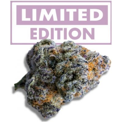 Growers Choice Platinum Mimosa Cookies Double XL Auto semena neobsahují THC 5 ks – Hledejceny.cz