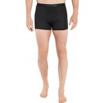 Icebreaker Mens Anatomica Boxers Black – Zboží Dáma
