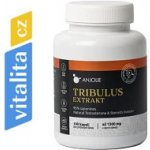 Anjolie Tribulus extrakt 95% 100 kapslí – Hledejceny.cz