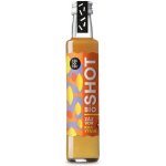KOLDOKOL Bio Shot zázvor a rakytník 250 ml – Zboží Dáma