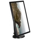 BenQ BL2405PT