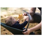 Kidnort Vinbär zelené – Zboží Dáma