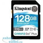 Kingston SDXC Class 10 128 GB SDG3/128GB – Zboží Živě