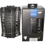 Schwalbe Nobby Nic 29x2,60 – Hledejceny.cz