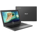 Asus Chromebook CR1100FKA-BP0172