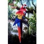 Norimpex Diamantové malování Barevní papoušci 80 x 40 cm – Sleviste.cz