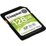 Kingston SDXC UHS-I U1 128 GB SDS2/128GB – Hledejceny.cz