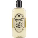 Morgan's Spiced Rum vlasové tonikum 250 ml