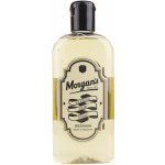 Morgan's Spiced Rum vlasové tonikum 250 ml – Hledejceny.cz