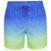 Koupací šortky, boardshorts O'Neill Cali gradient 15'' Swim shorts