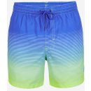 O'Neill Cali gradient 15'' Swim shorts