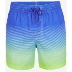 O'Neill Cali gradient 15'' Swim shorts – Hledejceny.cz