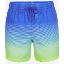 O'Neill Cali gradient 15'' Swim shorts