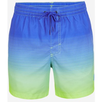 O'Neill Cali gradient 15'' Swim shorts – Zboží Mobilmania