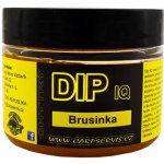 Carp Servis Václavík IQ Dip Satan 60 ml – Zbozi.Blesk.cz