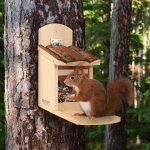 Wildlife Friend Krmítko pro veverky 19100030 – Zboží Dáma