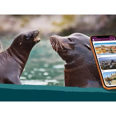 Venkovní únikovka v Zoo Lešná: Až 6 hráčů – Hledejceny.cz