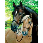 Norimpex Diamantové malování Koně 30 x 40 cm – Zboží Mobilmania