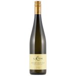 Wagram Weingut Leth Grüner Veltliner Schafflerberg 2022 12,5% 0,75 l (holá láhev) – Hledejceny.cz