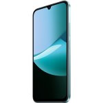 Xiaomi Redmi 15C 8GB/256GB Mint Green – Zboží Živě
