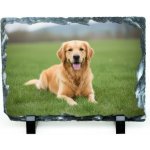 Fotokámen s vlastní fotografií 20x15cm – Hledejceny.cz