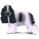 Collecta Anglický kokr – Sleviste.cz