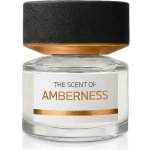 BMW Fragrances The Scent of Amberness parfémovaná voda unisex 50 ml – Hledejceny.cz