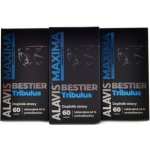 Alavis Maxima Bestier tribulus 180 kapslí – Zboží Dáma