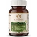 Maharishi Ayurveda Student Rasayana 60 tablet – Hledejceny.cz