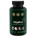 Dr.CBD Dr. CBD VitaPro klouby a pohyb 60 + 20 kapslí – Zboží Mobilmania