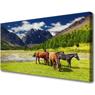 Obraz na plátně Hory Stromy Koně Zvířata 100x50 cm – Zboží Mobilmania