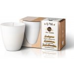 The Greatest Candle in the World Apple Gourmet 3 x 130 g – Zboží Mobilmania