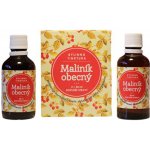 Ondřej Ullrich Tinktura Maliník obecný 2 x 50 ml – Hledejceny.cz