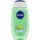 Sprchový gel Nivea Lemongrass & Oil sprchový gel 250 ml