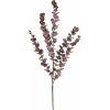 Květina Blahovičník - Eukalyptus spray fialový (5) v76 cm (FB108359560)