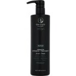 Paul Mitchell Awapuhi Wild Ginger Repair Intensive Treatment péče pro suché a poškozené vlasy 500 ml – Hledejceny.cz